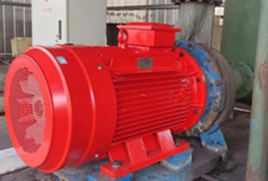 钢厂水泵电机改造